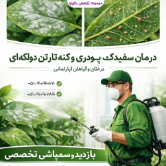 خدمات تخصصی باغینو برای جهت مبارزه با آفت سفیدک سطحی و کنه تارتن در مشهد