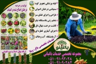 خدمات کامل و تخصصی باغبانی در مشهد