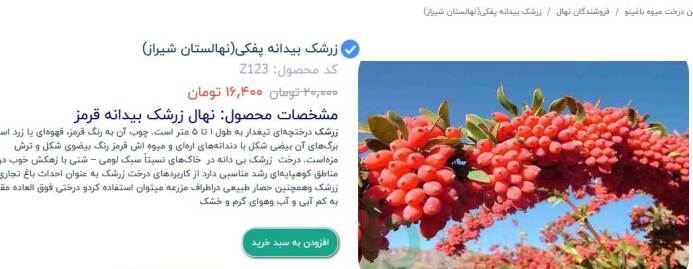 خرید درخت زرشک در شیراز